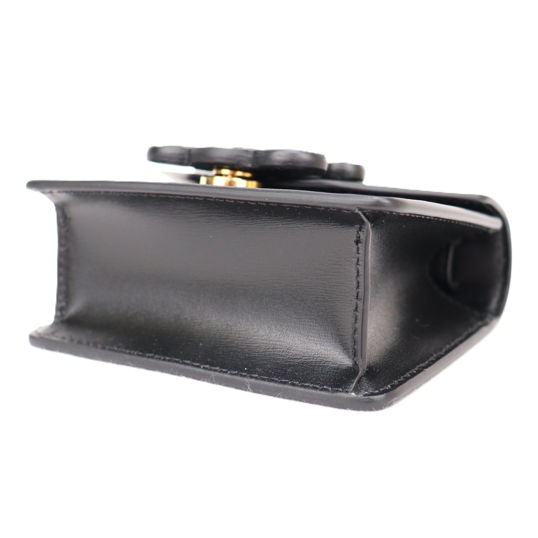 CELINE 10J743DPV WALLET ON CHAIN