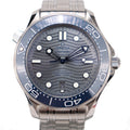 OMEGA 210.30.42.20.06.001 Seamaster Professional