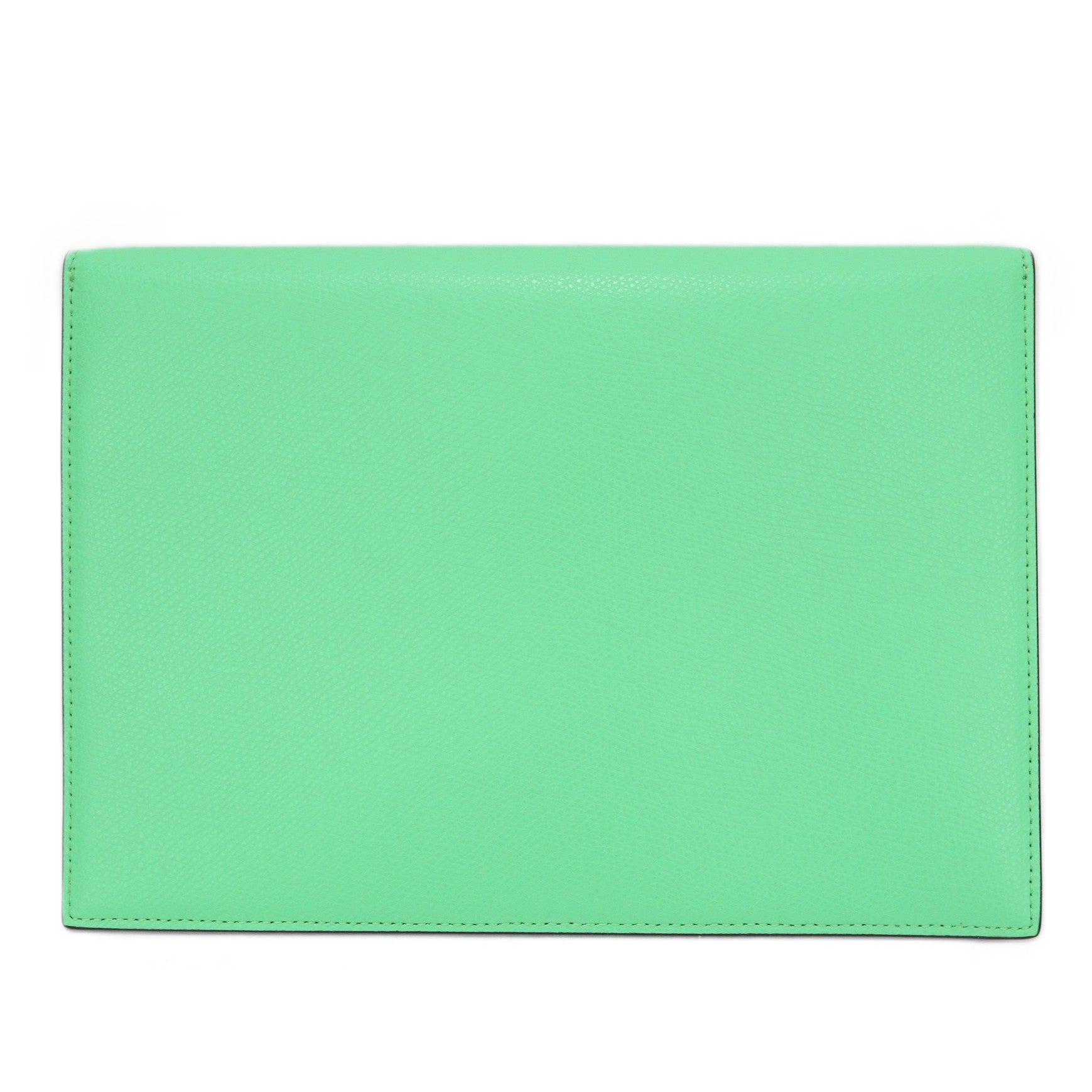 FENDI 8N0152 ALWA POUCH