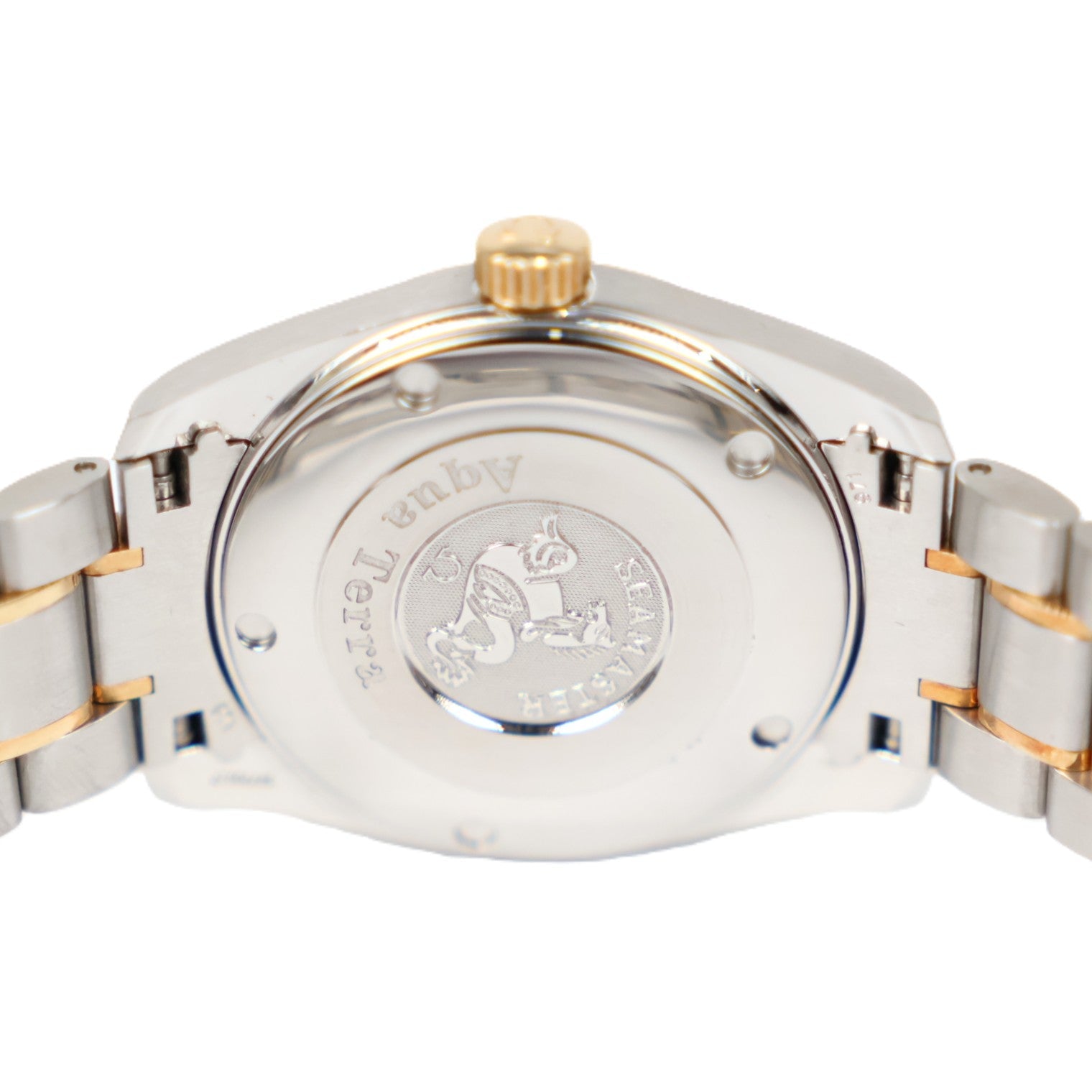 OMEGA 2318.30 Seamaster Aquqterra