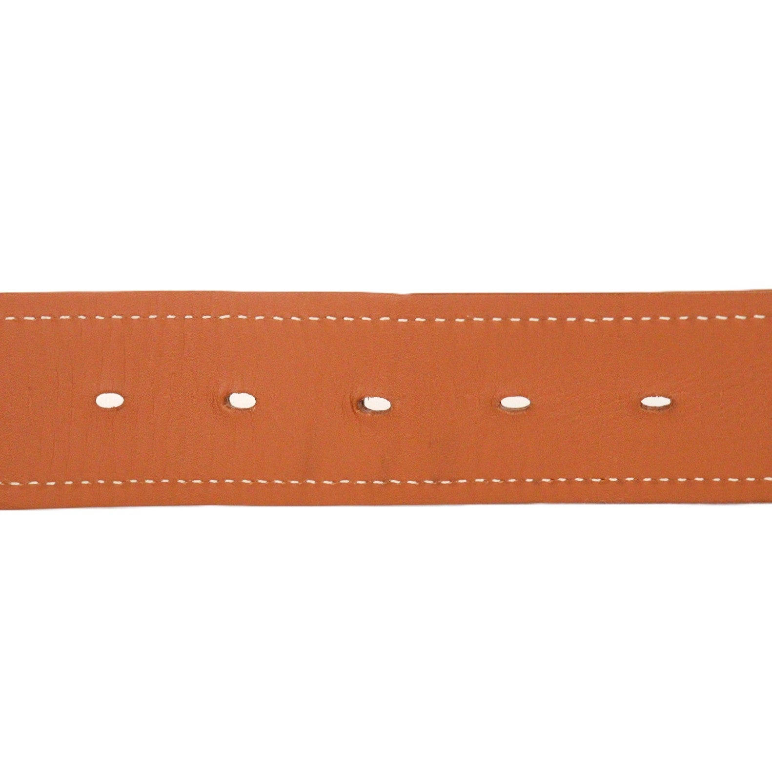 GOYARD FLORIDA 105 BELT