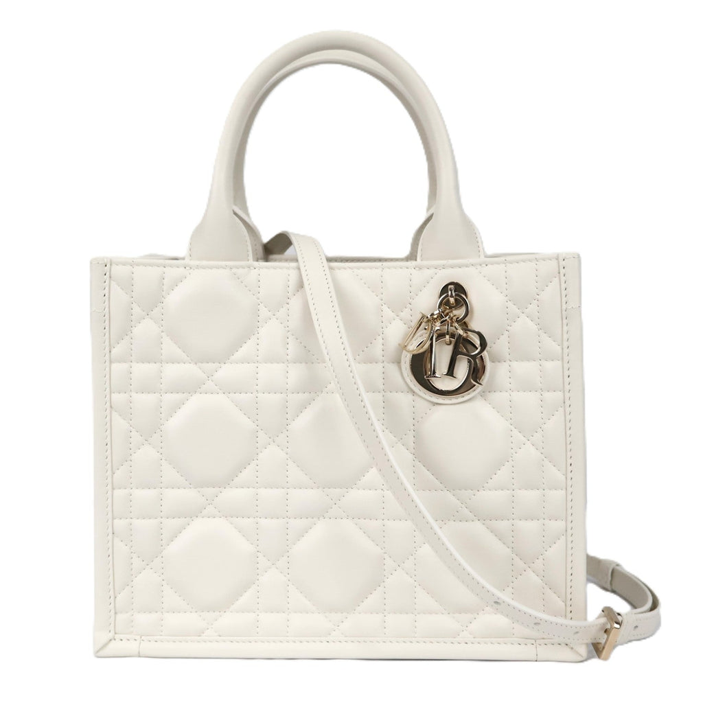 DIOR M1325OWHP BOOK TOTE SMALL TOTE BAG