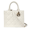 DIOR M1325OWHP BOOK TOTE SMALL TOTE BAG