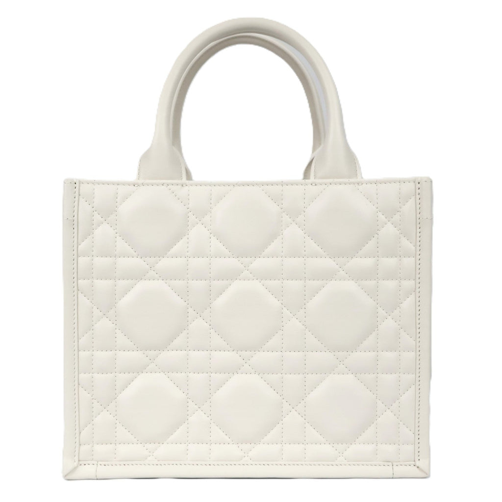 DIOR M1325OWHP BOOK TOTE SMALL TOTE BAG
