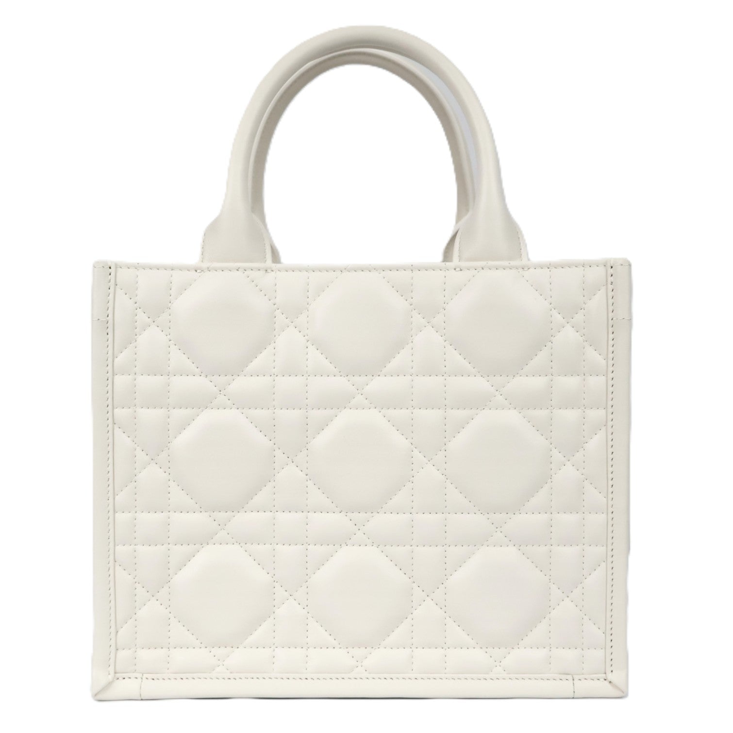 DIOR M1325OWHP BOOK TOTE SMALL TOTE BAG