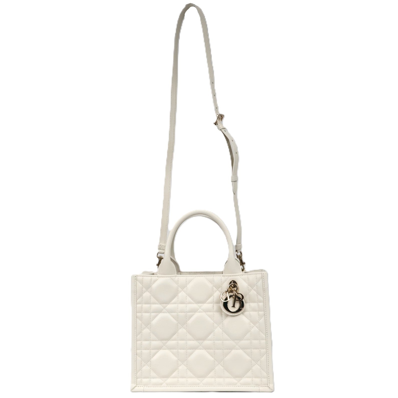 DIOR M1325OWHP BOOK TOTE SMALL TOTE BAG