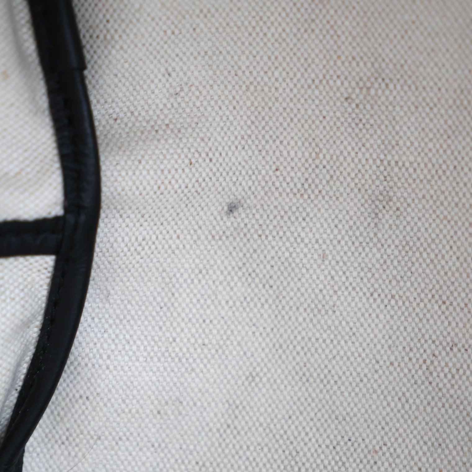 GOYARD SAINT LOUIS PM TOTE BAG