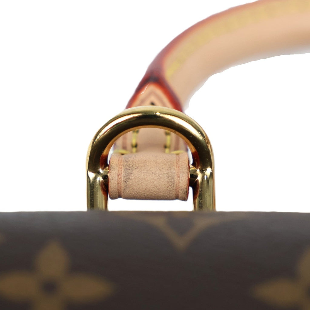 LOUIS VUITTON M46055 CLUNY BB HANDBAG