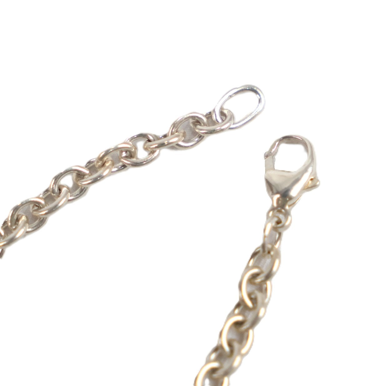 TIFFANY & Co. Nature Charm Bracelet
