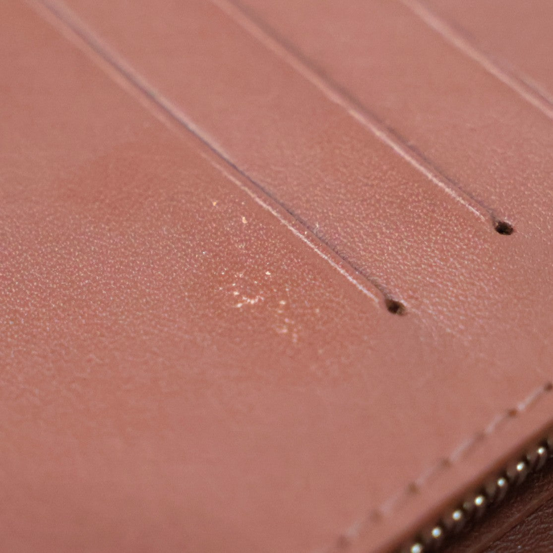 LOUIS VUITTON M61195 BRAZZA LONG WALLET