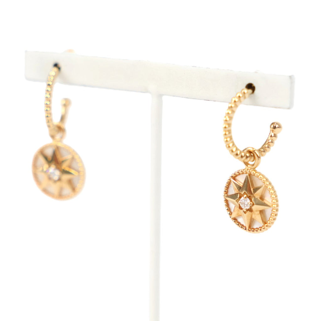 DIOR JRDV95057 Rose des Vents Earrings