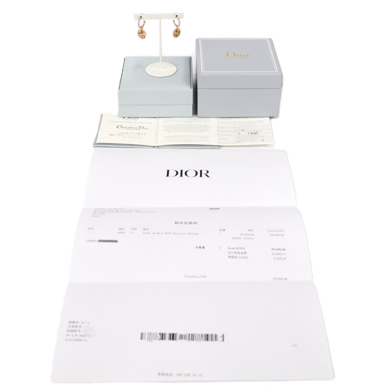 DIOR JRDV95057 Rose des Vents Earrings