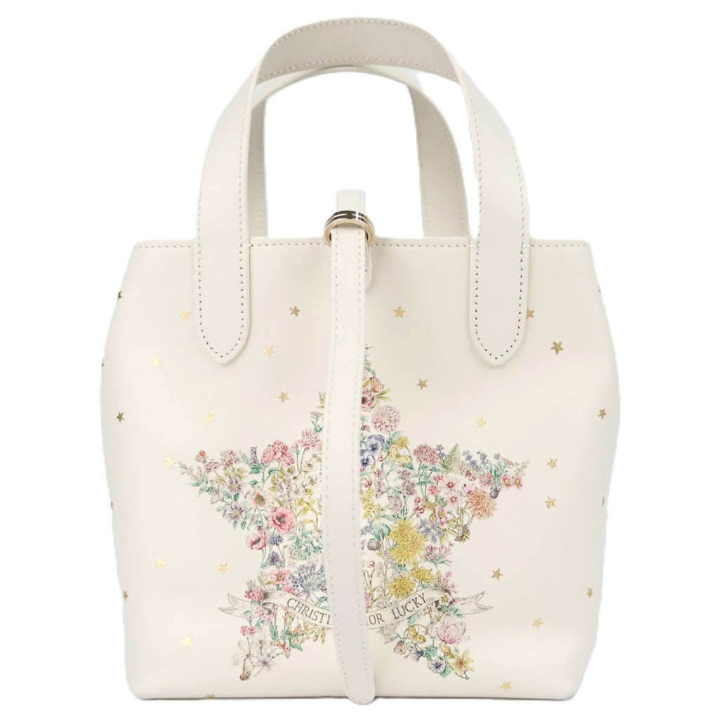DIOR M28350SYR TOUJOURS VERTICAL SMALL HANDBAG