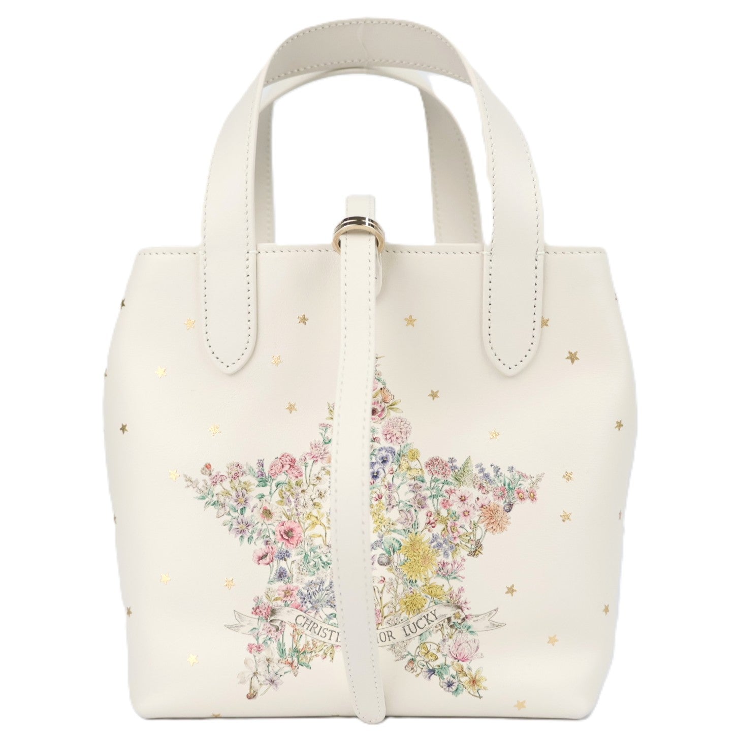 DIOR M28350SYR TOUJOURS VERTICAL SMALL HANDBAG