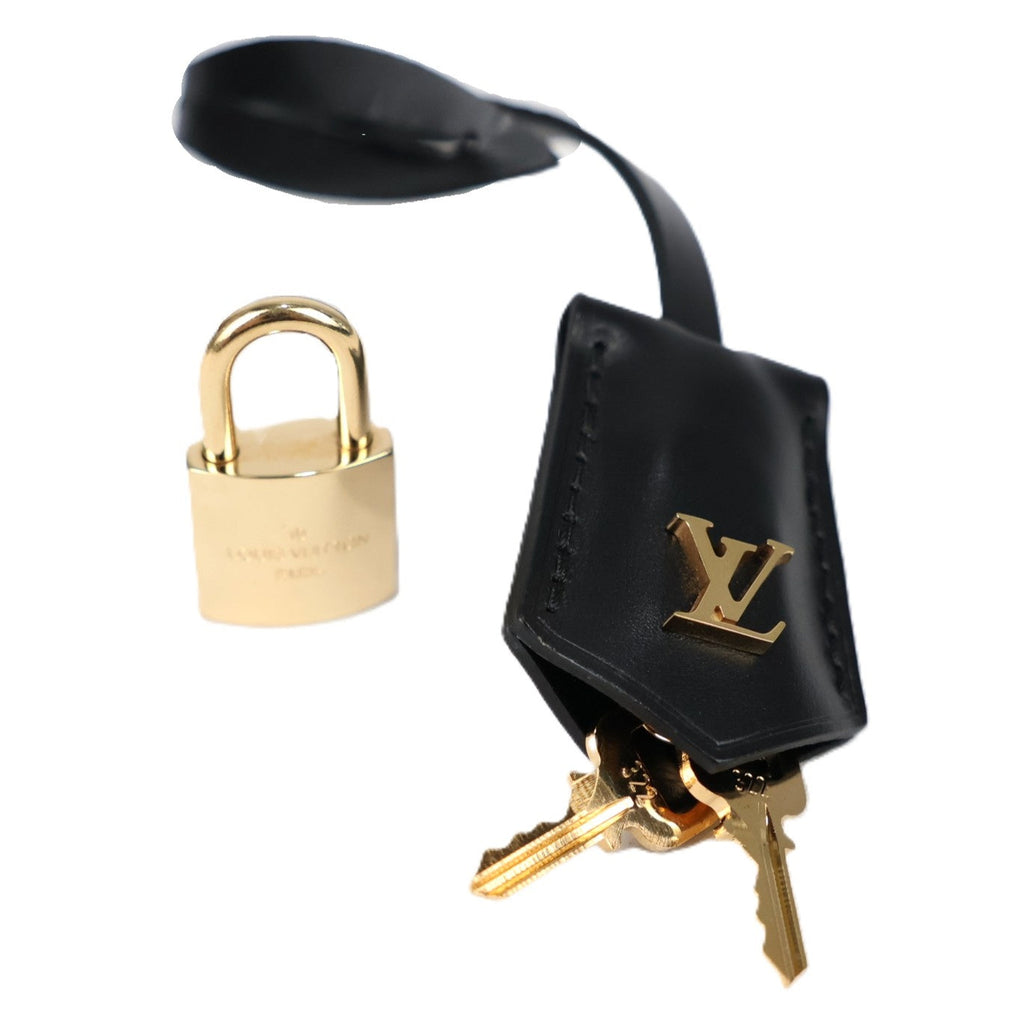 LOUIS VUITTON M45165 VANITY PM VANITY BAG