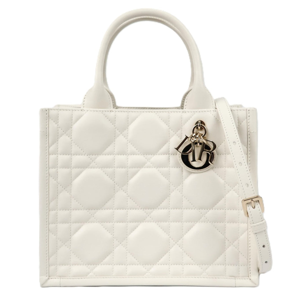 DIOR M1325OWHP BOOK TOTE SMALL TOTE BAG