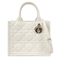 DIOR M1325OWHP BOOK TOTE SMALL TOTE BAG